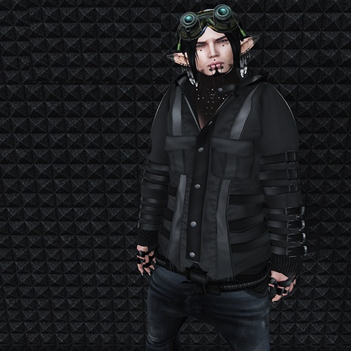.::[SNL Design]::. Stephen Full Avi