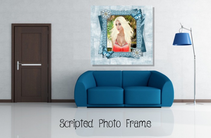 Daisy n Butterfly Frame