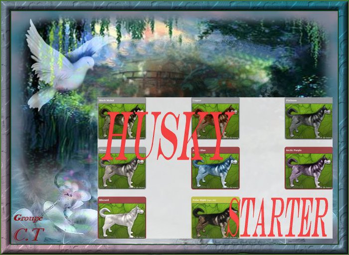 BB Husky Box Female