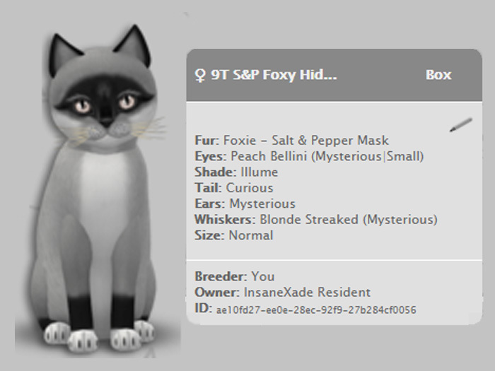 KittyCatS Box - 9T S&P Foxy Hides Austrian mist BM