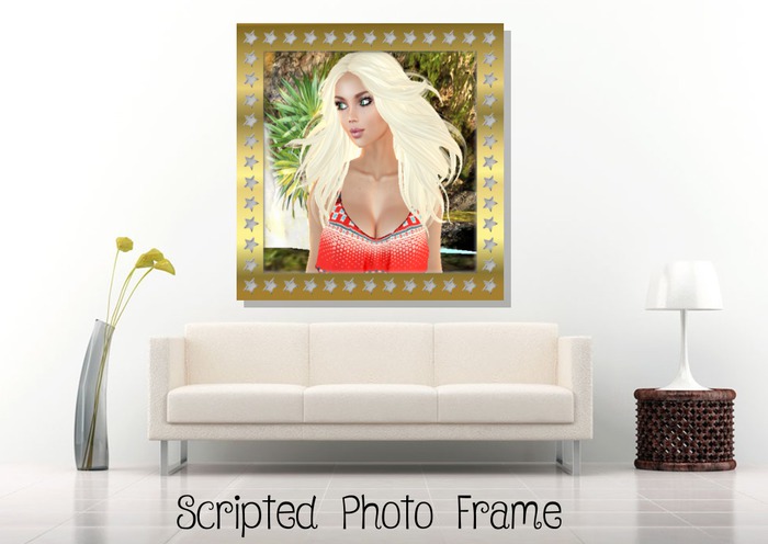 Gold Star Frame