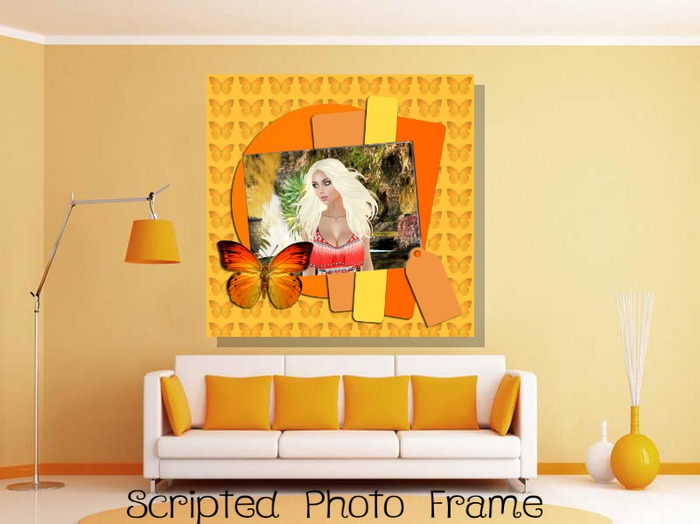 Orange Butterfly Frame