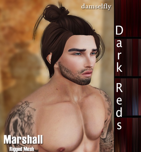 *~*Damselfly*~*Marshall Dark Reds