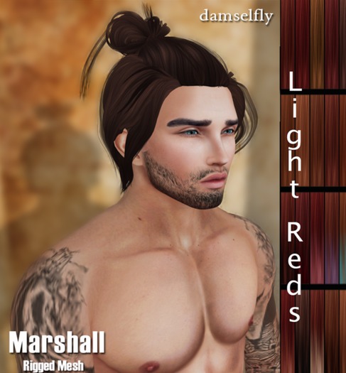 *~*Damselfly*~*Marshall Light Reds