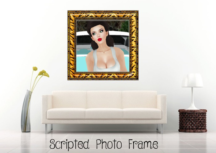 Tiger print Frame