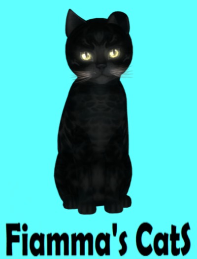 KittyCatS Box - Bengal - Black