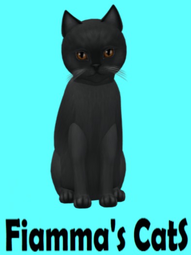 KittyCatS Box - Burmese - Blue