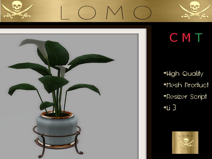 [ IBAN ] Calla Elegance FB 01
