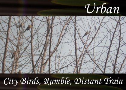 Atmo-Urban - City Birds, Rumble, Distant Train 3:00