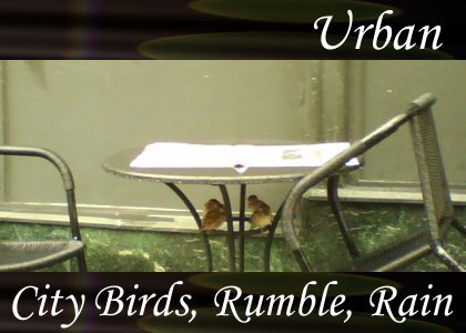 Atmo-Urban - City Birds, Rumble, Rain 2:40