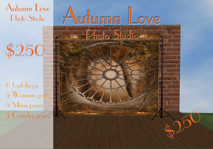 Autumn Love Studio Boxed