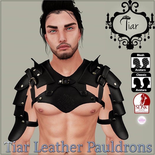 Tiar leathe rpaldrons