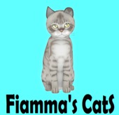KittyCatS Box - Australian Mist - Blue Marble - Petite