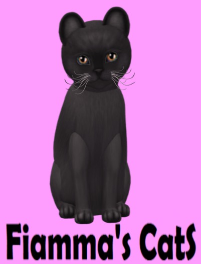 KittyCatS Box - Burmese - Blue