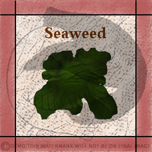 G&SSeaweed