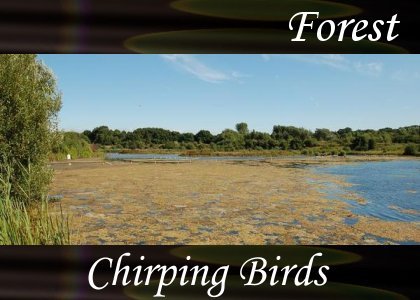 Atmo-Forest - Chirping Birds 0:50
