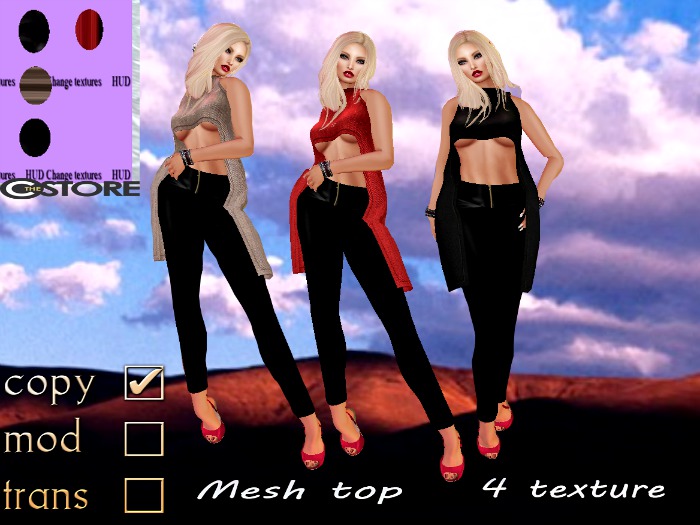 Mesh Top  ( HUD 4 texture)