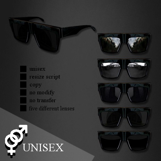 SUNGLASSES CELN-GG       -RYCA-
