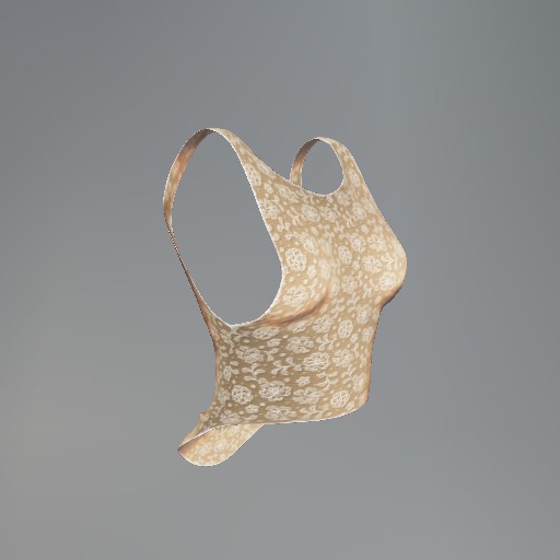 Beige Lace Mesh Tank Top box