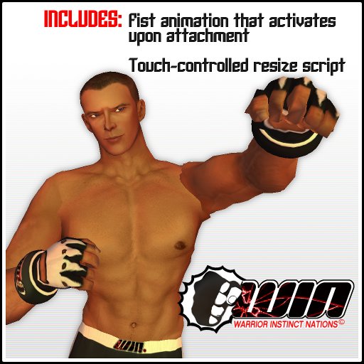 WIN MMA Gloves, Black and White