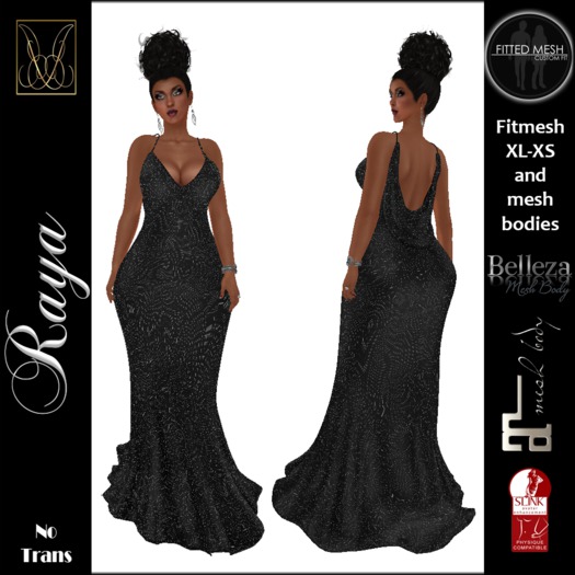 JCD Raya Black FitMesh Dress (bagged)