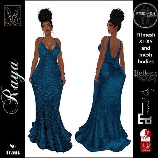 JCD Raya Black FitMesh Dress (bagged)