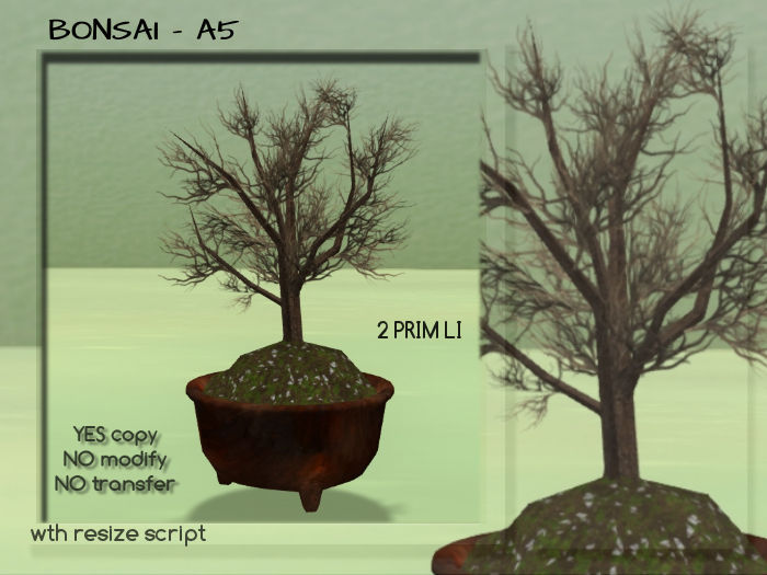 BONSAI - A5