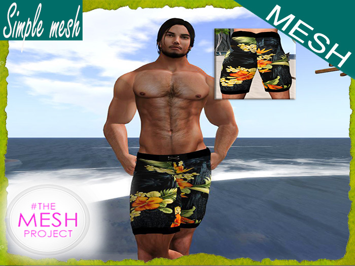 SM Boardies TMP (DEMO)