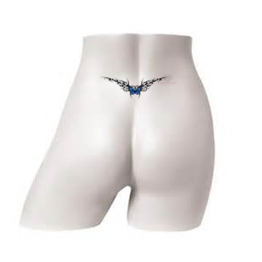 Blue butterfly, lower back, w/ trim
