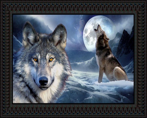wolf-Megan