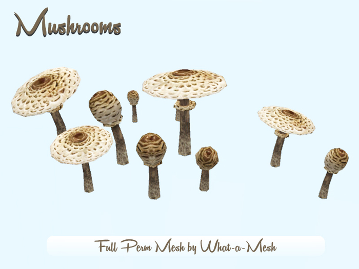 D.L. Mushroom FULL PERM Pack