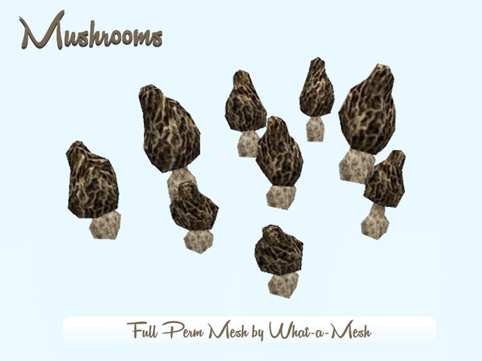 D.L. Mushroom FULL PERM Pack