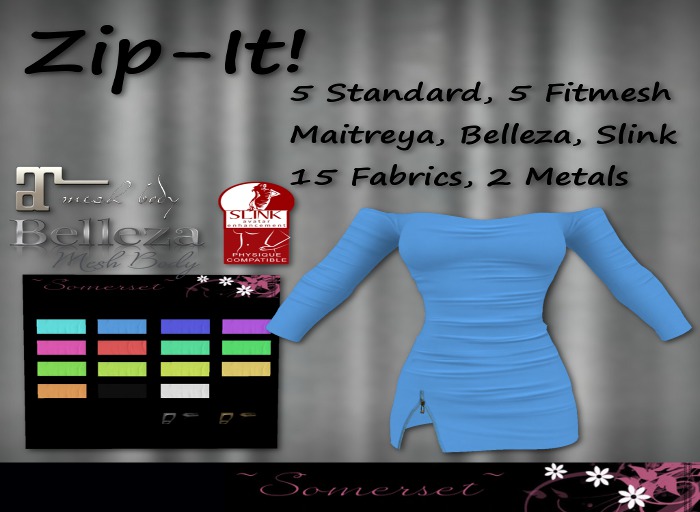 ~Somerset~ Zip-It Mini Dress