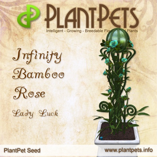 PlantPet Seed [Infinity Bamboo Rose *Lady Lucky*]