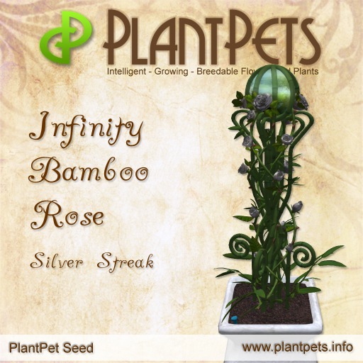 PlantPet Seed [Infinity Bamboo Rose *Silver Streak*] rare Release Day 22.01.2013