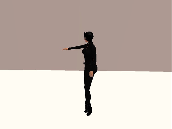 Paint Standing Animation full perms
