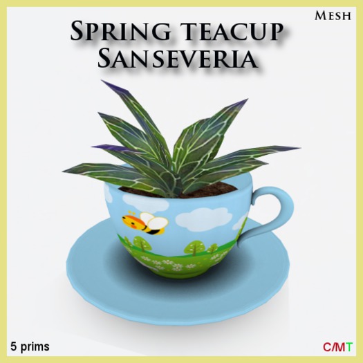 Spring teacup Sanseveria (mesh)