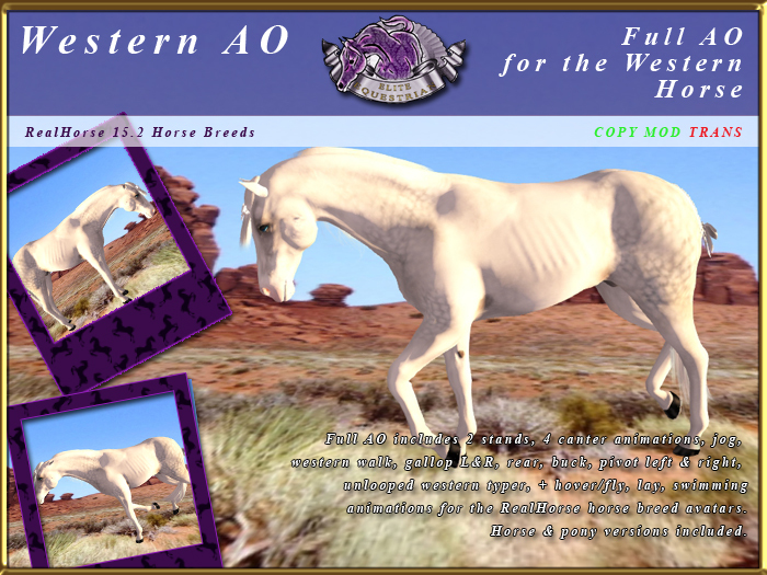 *E* RealHorse Western AO set [BOXED]