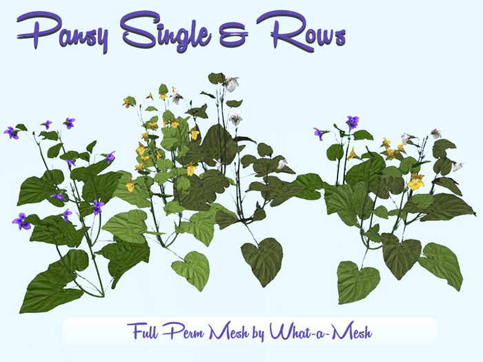 [WaM] Pansy Single & Rows Full Perm Kit