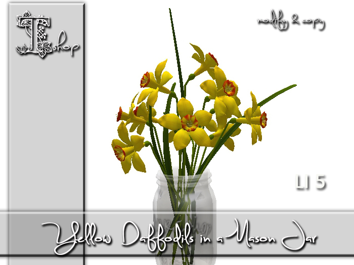 Yellow Daffodils in a Mason Jar MC