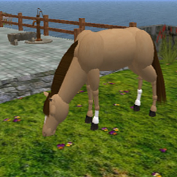 Horse beige grazing