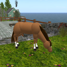 Horse light  brown grazing