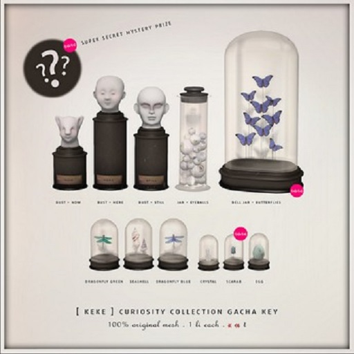 [ keke ] curiosity bust - still