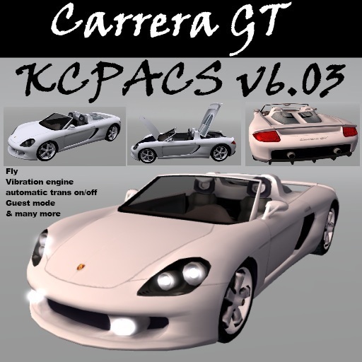 Carrera GT