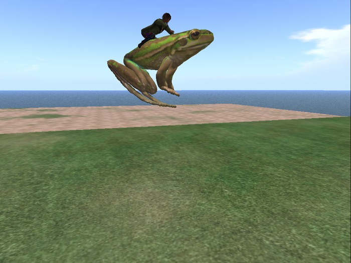 Mesh Frog To Ride!