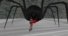 Giant Black Widow (black eyes)