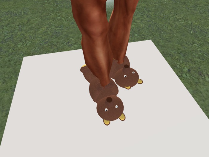 Teddy Bear Shoes