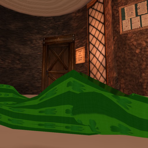 st patricks day slippers