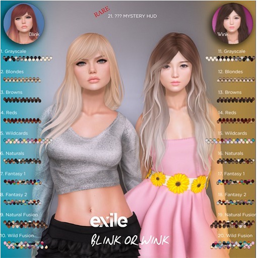 Exile::Blink: 2. Wildcards