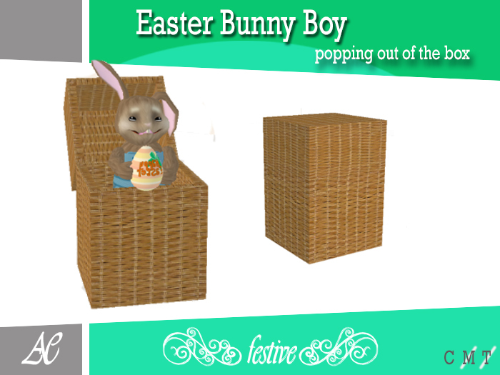 Easterbunny Boy